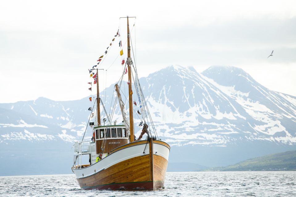 1 Hour Photo & History Cruise - Weather reality in Tromsø: plan for wind, not sunshine