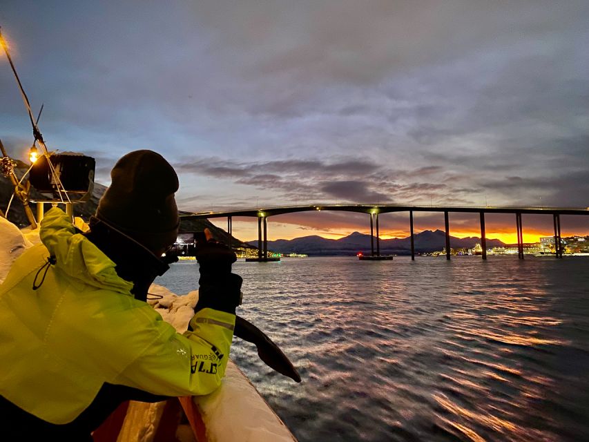 1 Hour Photo & History Cruise - Should you book the 1 Hour Photo & History Cruise?