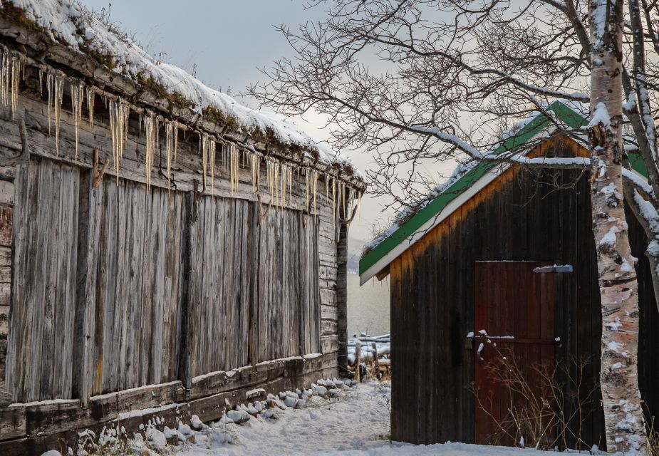 Arctic Nature Tour from Tromsø - The Kvaløya island loop: why a 5-hour trip feels like more