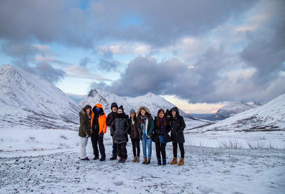 Arctic Nature Tour from Tromsø - Kvaløya island: photo stops, lunch, and wildlife chances