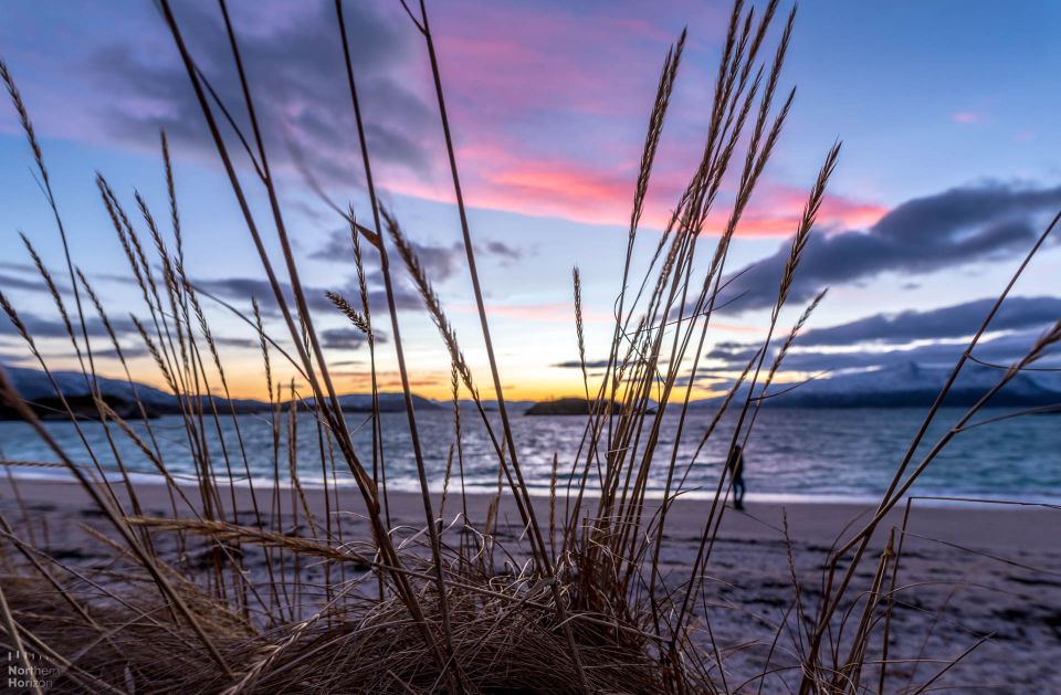 Arctic Nature Tour from Tromsø - Magic Ice Bar Tromsø: the meeting point that sets the tone