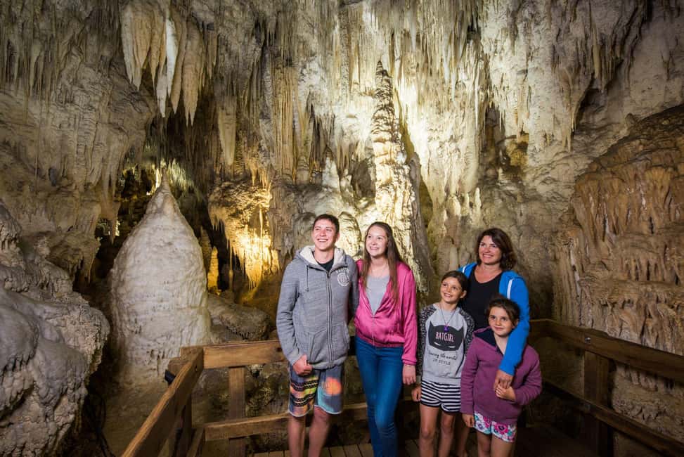 Auckland: One-Way Tour to Rotorua with Waitomo Caves - Auckland to Rotorua Without the Stress: A Scenic One-Way Plan