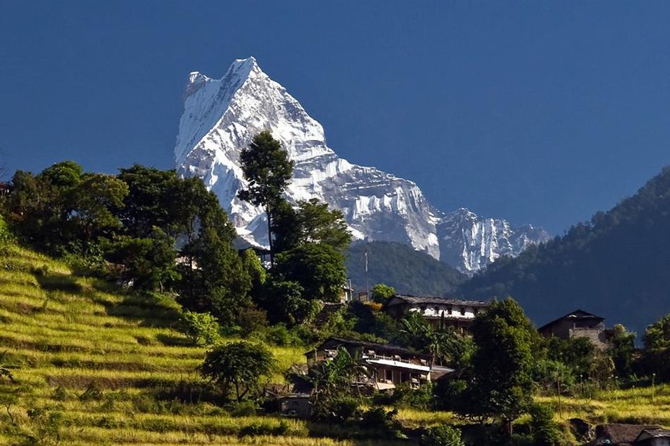 Australian Base Camp Day Hike From Pokhara - The Uphill: Steps, Forest Air, and How Guides Make It Feel Easier