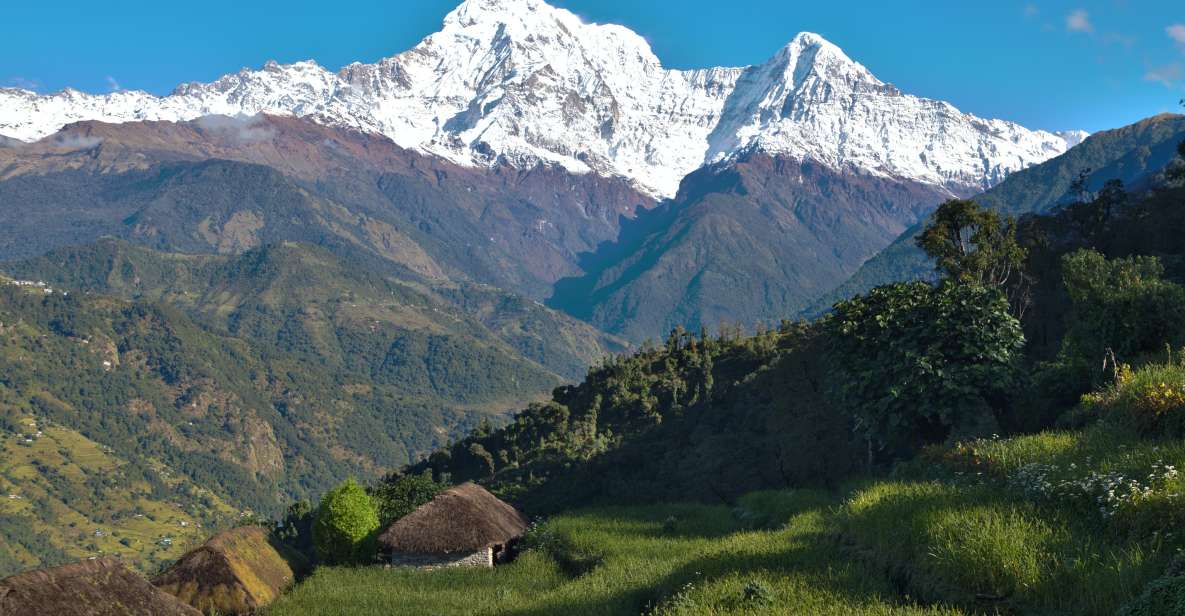 Australian Base Camp Day Hike From Pokhara - Dhampus Break Time: A Village Pause That Makes the Trek Human