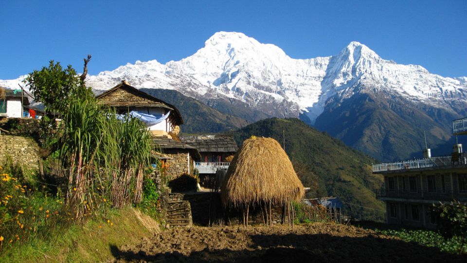 Australian Base Camp Day Hike From Pokhara - Australian Camp Viewpoint: Your Main Payoff, Done the Right Way