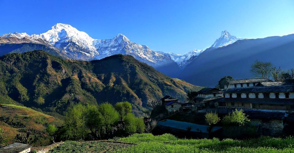 Australian Base Camp Day Hike From Pokhara - Price and Value: Is $39 Fair for This Day?