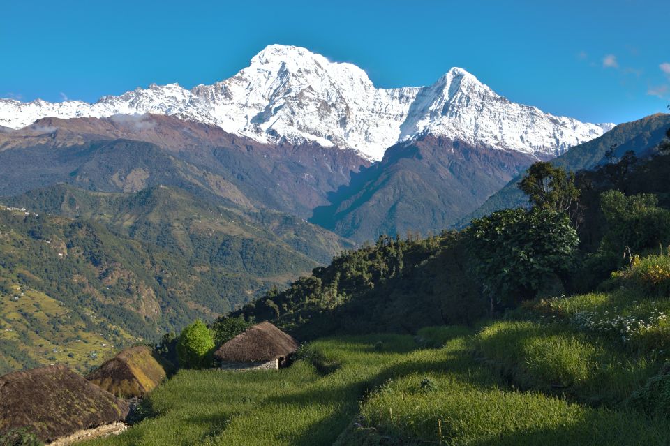 Australian Base Camp Day Hike From Pokhara - From Pokhara to Dhampus: The Start That Saves Your Energy