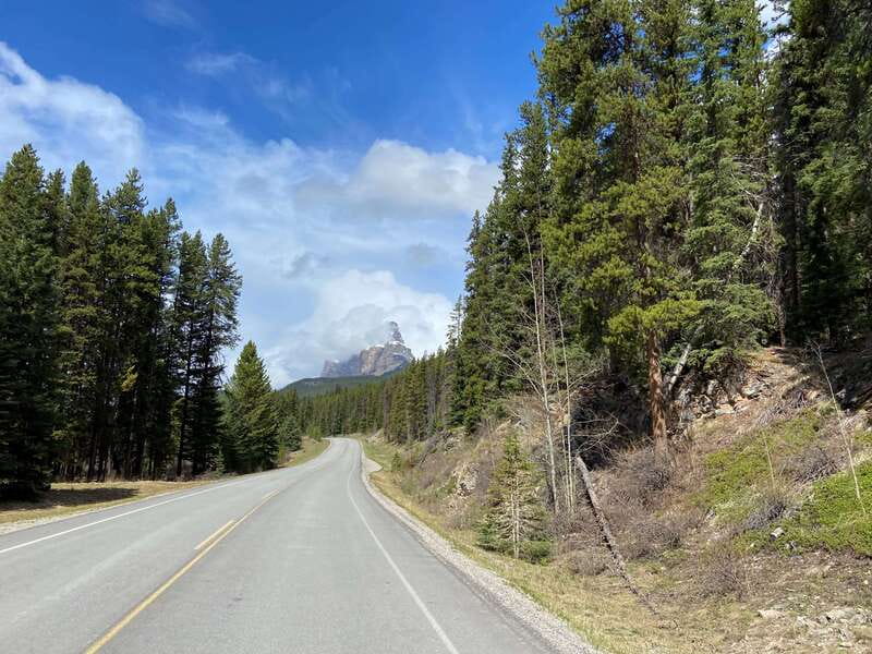 Banff: 4-Hour E-Bike and Walking Tour in Johnston Canyon - Wildlife, photos, and why the guide matters in Banff