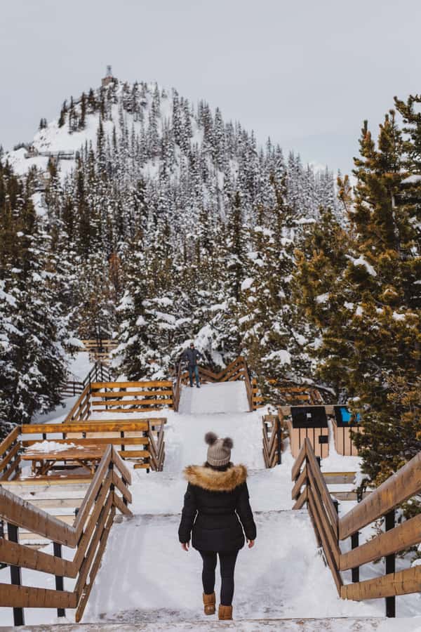 Banff: Banff Town, Gondola, and Johnston Canyon Day Tour - Key highlights you’ll actually feel