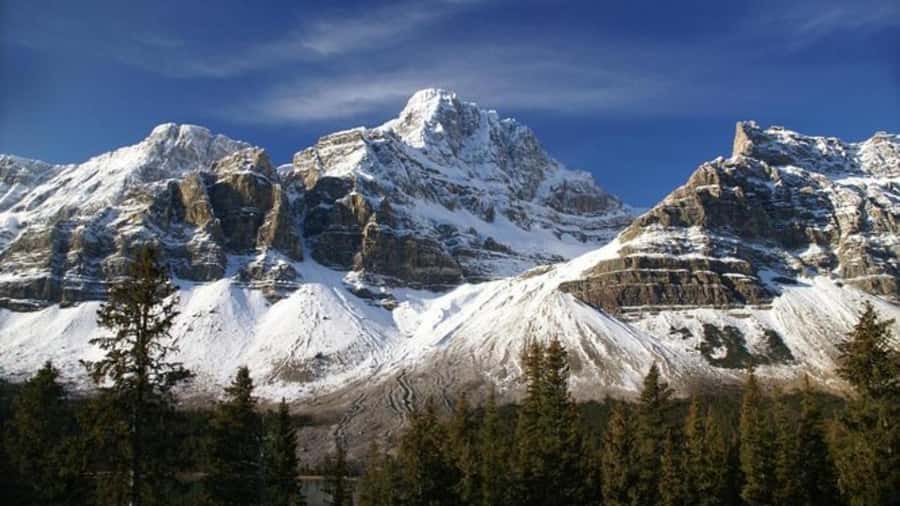 Banff/Calgary/Canmore: Crowfoot Glacier and 5 Lakes Tour - Food, water, and what the included price really covers