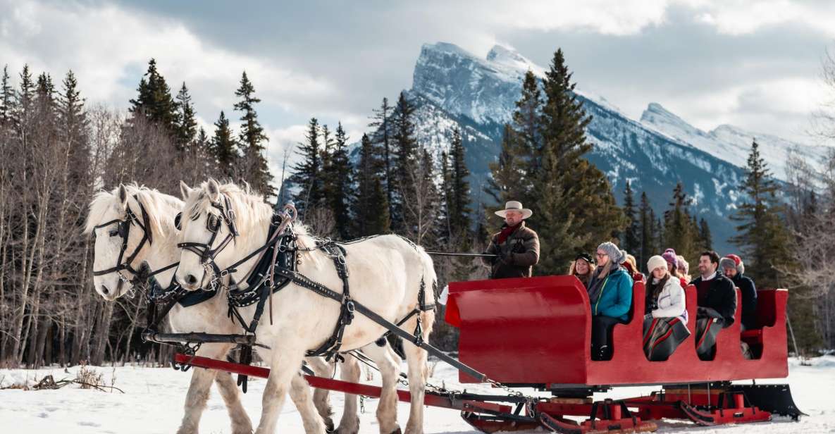 Banff: Family Friendly Horse-Drawn Sleigh Ride - The fireside warm-up: hot drinks and a proper winter reset