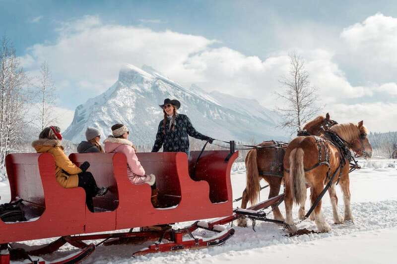 Banff: Family Friendly Horse-Drawn Sleigh Ride - Check-in, waivers, and the calm before the sleigh ride