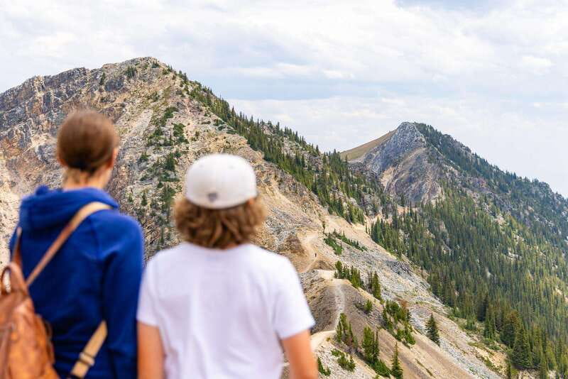 Banff: Grizzly Bear Refuge Tour with Lunch - Price and Value: Is $229 for a 10-Hour Day Fair?