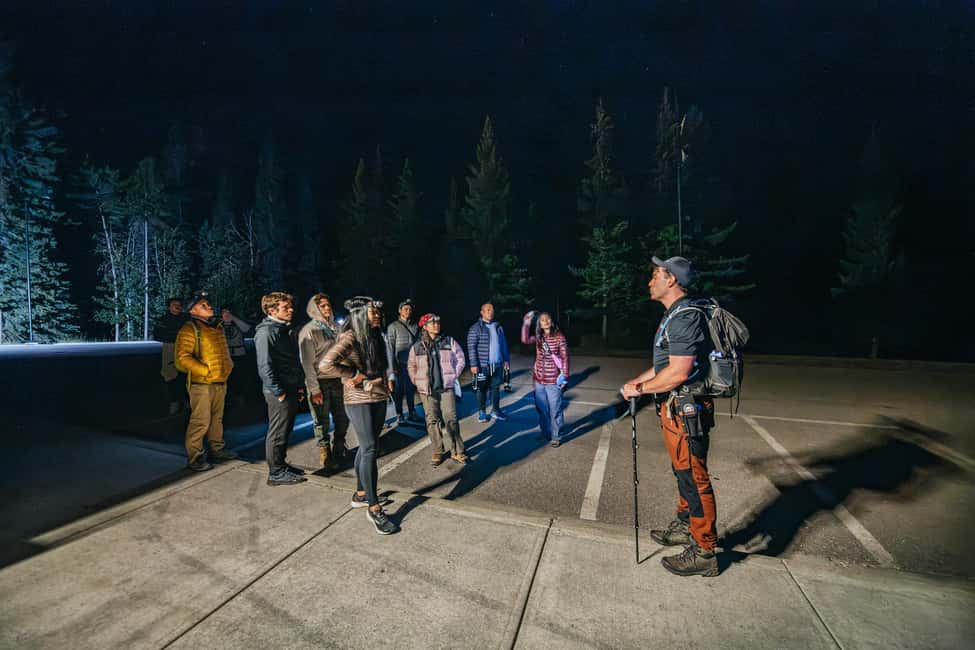 Banff: Guided Sunset and Stargazing Tour - Constellations, Shooting Stars, and Northern Lights: What the Guide Actually Looks For