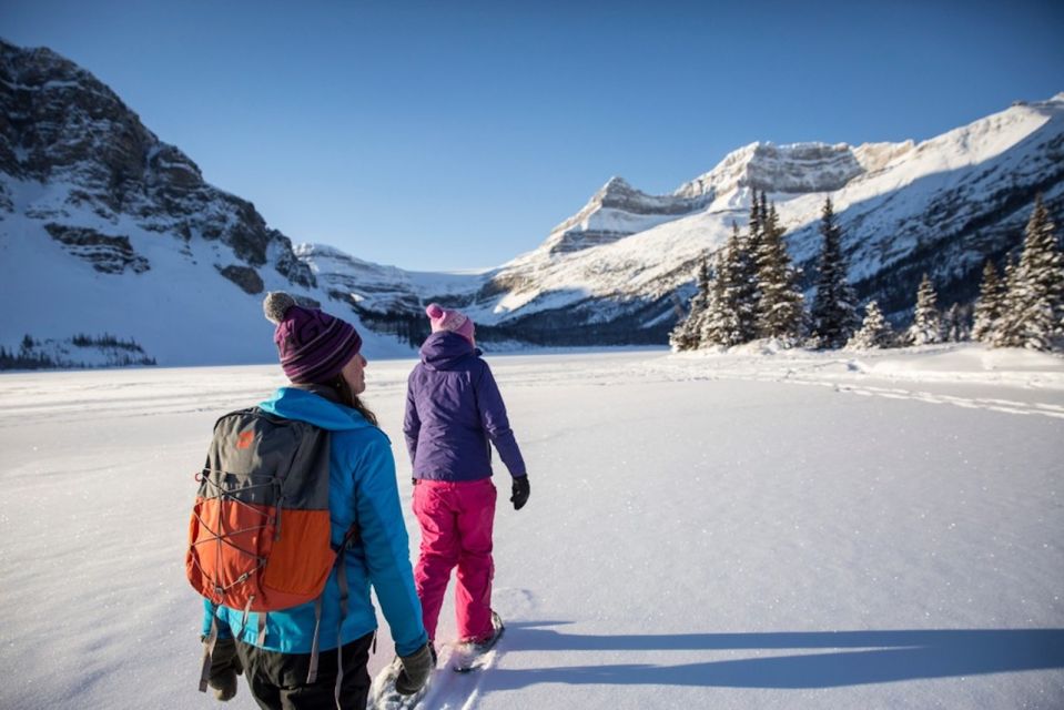 Banff: Icefields Parkway & Abraham Lake Ice Bubbles Tour - Key points to know before you go