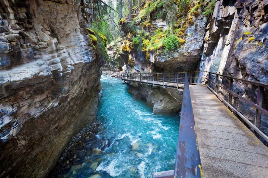 Banff : Lake Louise, Moraine, Emerald & Johnston Canyon tour - A practical way to hit Banff’s best hits