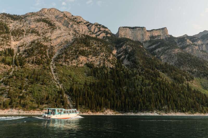 Banff: Lake Minnewanka Cruise - The wildlife run: sheep, deer, goats, and bear lore