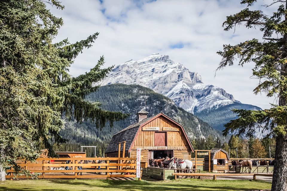 Banff National Park: 1-Hour Bow River Horseback Ride - Bow River Horse Time: What Makes This 1-Hour Ride Work