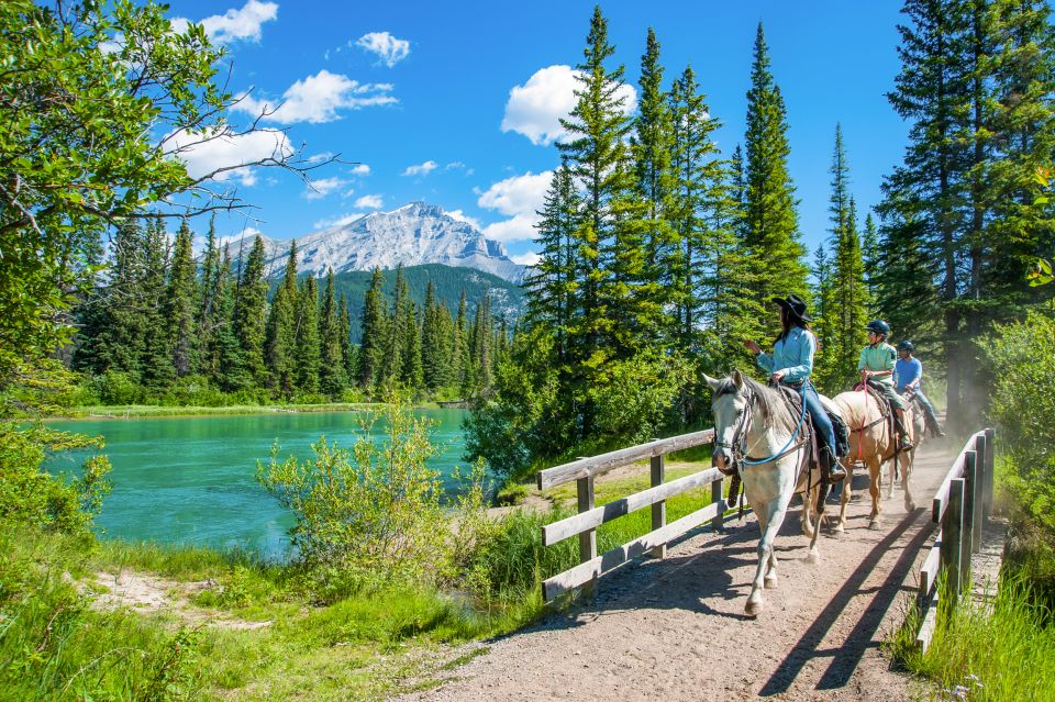 Banff National Park: 1-Hour Bow River Horseback Ride - Horses and Guides: How Safety and Calm Actually Happen