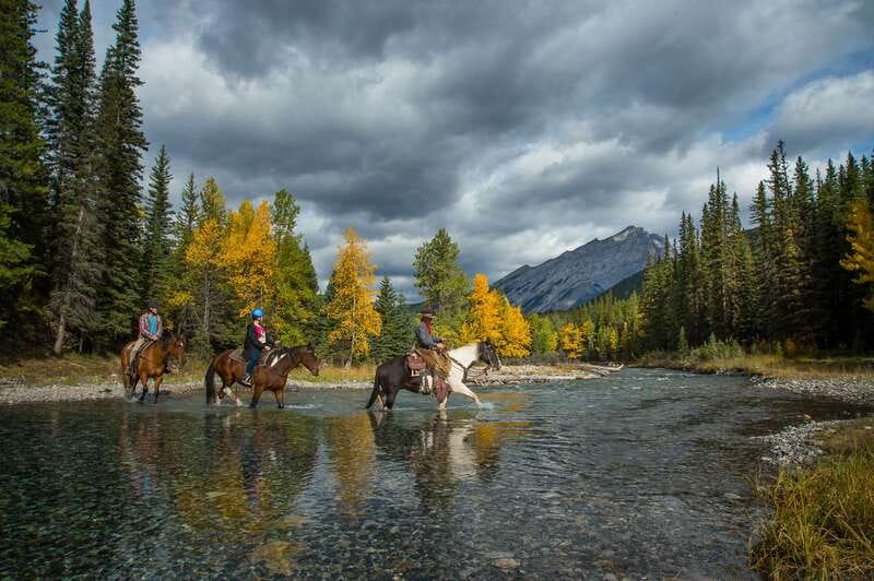 Banff National Park: 1-Hour Spray River Horseback Ride - Key moments that make this ride special