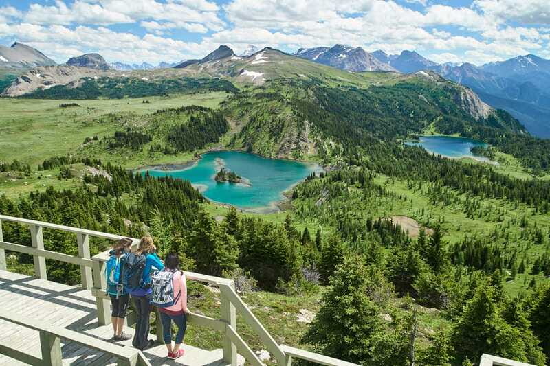Banff: Sunshine Sightseeing Gondola and Standish Chairlift - Wildlife Spotting: Fun Bonus, Not a Guarantee