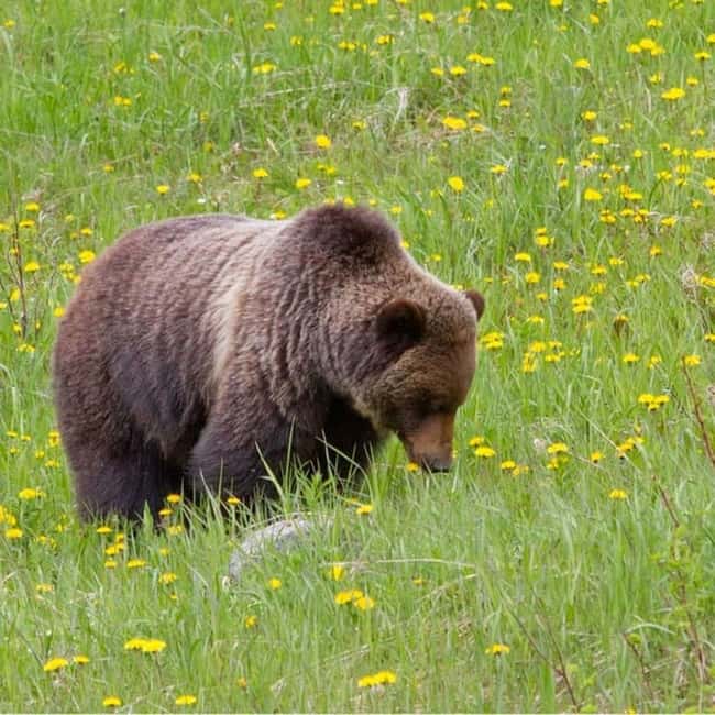 Banff Town, Gondola, Hot Springs, Bow Falls & Three Lakes - Who this tour suits best (and who should choose differently)