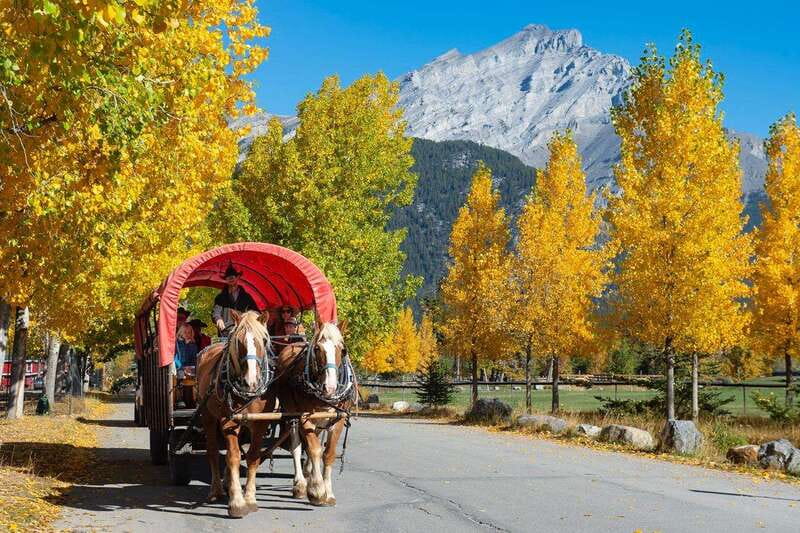 Banff: Wagon Ride with Cowboy Cookout BBQ - 3 Mile Cabin cowboy cookout BBQ: your meal break with a campfire feel