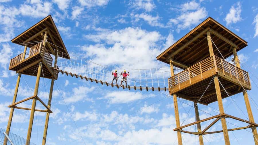 Camp Verde: Predator Zip Lines Guided Tour - Camp Verde Zip Lines Over Big Cats: The Core Idea
