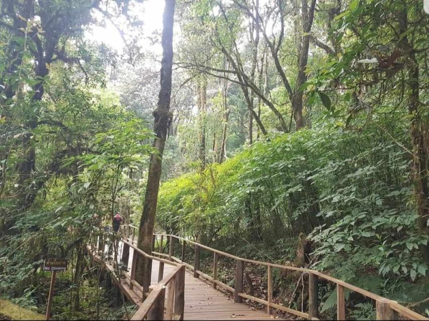 Chang Mai: Doi Inthanon Day Tour w/Waterfalls & Hilltribes - Highest-peak views can be dramatic, even when cloudy