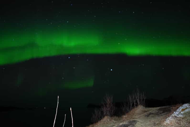 Chase the Magic of the Northern Lights in Tromsø Norway - Meeting outside Tromsø bibliotek og byarkiv: timing and patience