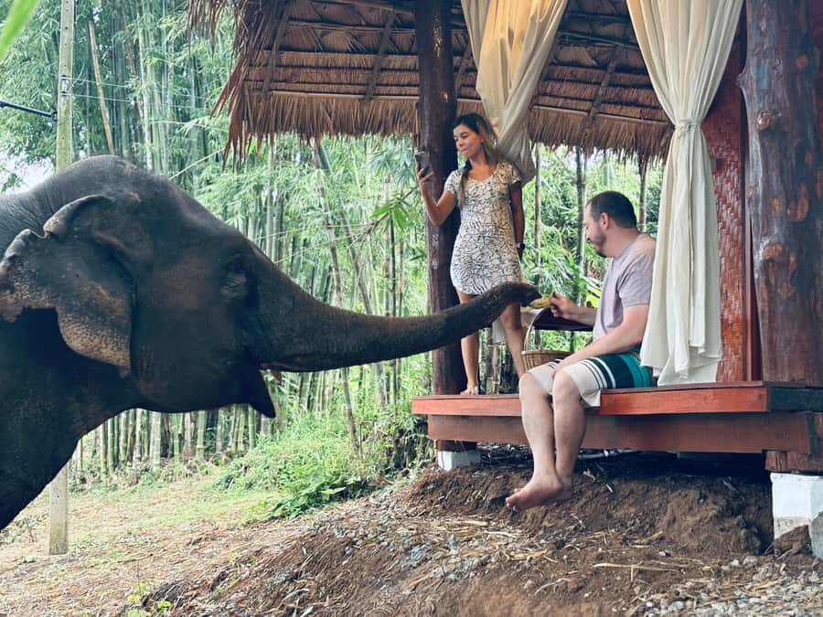 Chiang Mai 2-Day: Good Morning Elephant & Overnight Homestay - Key things to know before you go