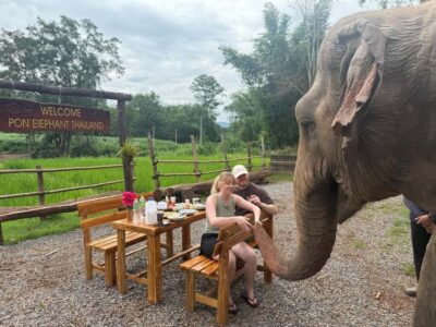 Chiang Mai 2-Day: Good Morning Elephant & Overnight Homestay - Getting to Pon Elephant Thailand: the Mae Wang Valley drive