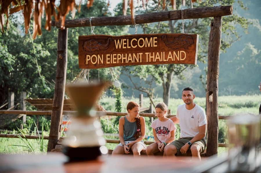 Chiang Mai 2-Day: Good Morning Elephant & Overnight Homestay - Day 2: the good morning routine, mahout lessons, and river bathing