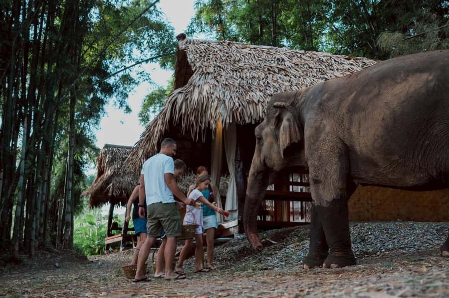 Chiang Mai 2-Day: Good Morning Elephant & Overnight Homestay - Mae Wang Waterfall swim and bamboo rafting on the river