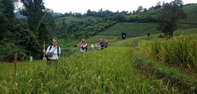 Chiang Mai: 2-Day Jungle Trek with Elephant Farm & Raft Ride - Local Market Stop: Get Your Bearings Fast
