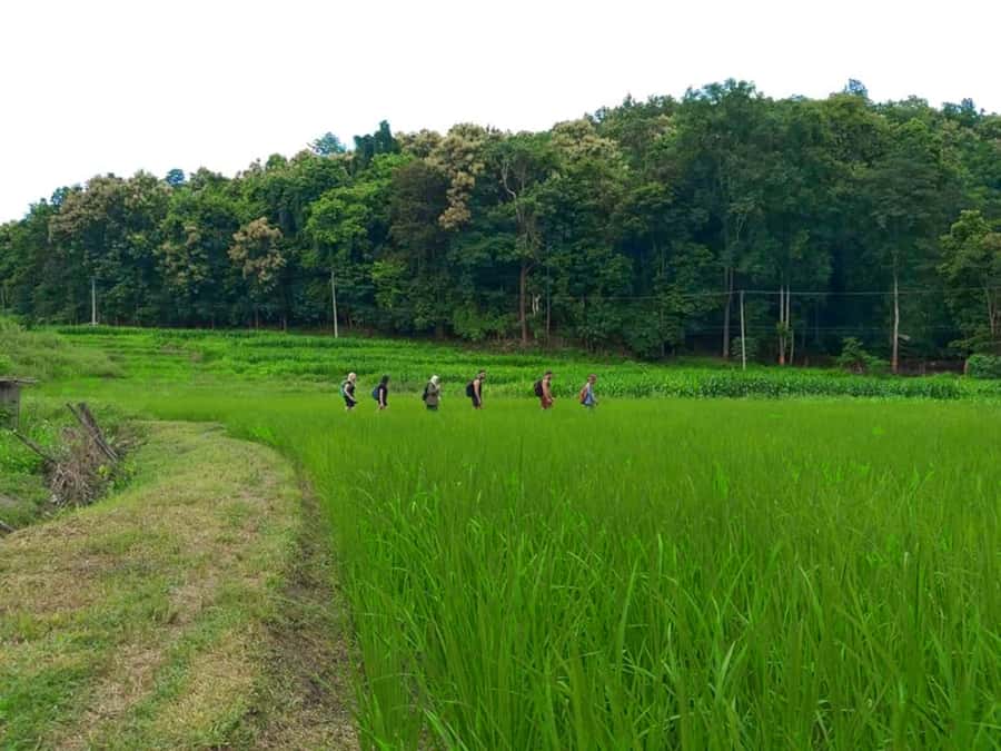 Chiang Mai: 2-Day Jungle Trek with Elephant Farm & Raft Ride - Breakfast in the Mountains and the Morning Reset