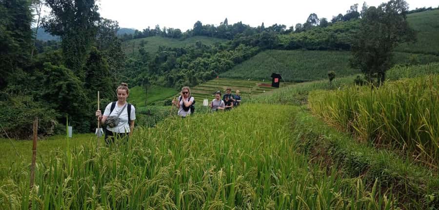 Chiang Mai: 2-Day Jungle Trek with Elephant Farm & Raft Ride - Local Market Stop: Get Your Bearings Fast