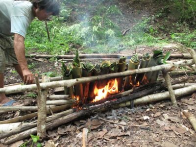 Chiang Mai: 2 Days, 1 Night Non-Tourist Trek - The morning start: pickup, elephant camp care, and an early beat of Thailand