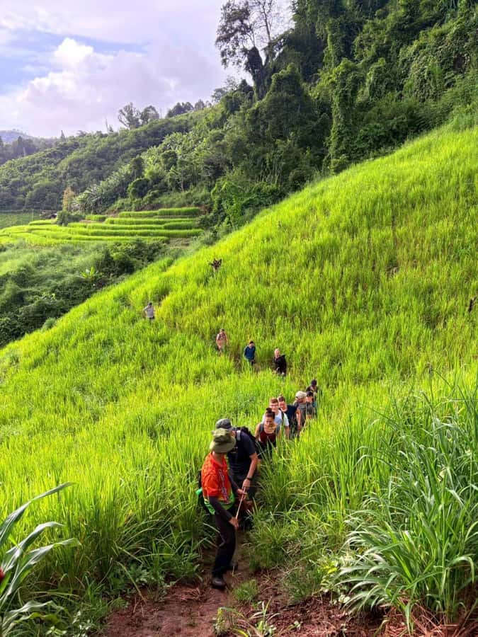 Chiang Mai: 2-Days Jungle Trek, Waterfalls and Karen Village - Day 2: Mae Wang jungle trekking, wildlife chances, and a second village stop