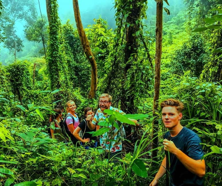 Chiang Mai: 7-Hour Doi Suthep National Park Summit Hiking - Who this hike suits best (and who should skip it)
