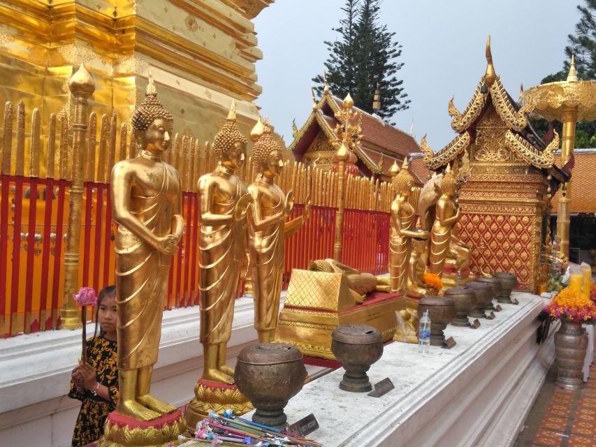 Chiang Mai: 7-Hour Doi Suthep National Park Summit Hiking - Lunch and the 180° views: when the day turns scenic