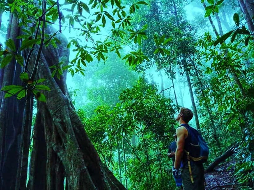 Chiang Mai: 7-Hour Doi Suthep National Park Summit Hiking - Getting the most from breaks and guide energy