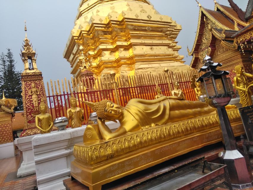 Chiang Mai: 7-Hour Doi Suthep National Park Summit Hiking - Logistics that affect your comfort: shoes, water, and the support truck