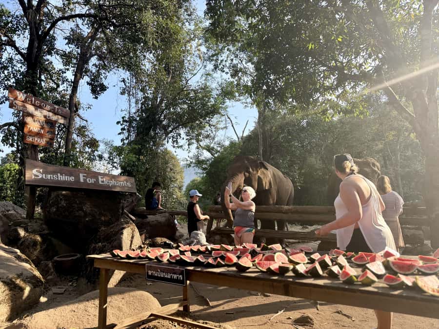 Chiang Mai Adventure: Trekking, Tubing & Waterfall Slide - Tubing the Mae Taeng River: calm float time with a wild feel