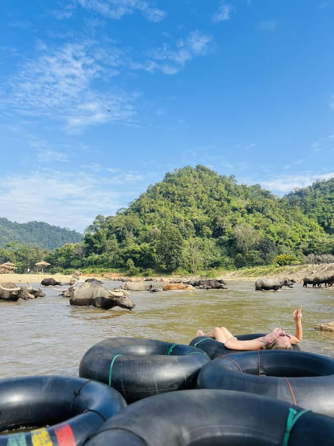 Chiang Mai Adventure: Trekking, Tubing & Waterfall Slide - Saa Gee Falls slide vs elephant observation: the one real decision