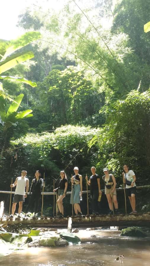 Chiang Mai ATV & White Water Rafting & Trekking to Waterfall - Key highlights worth planning around