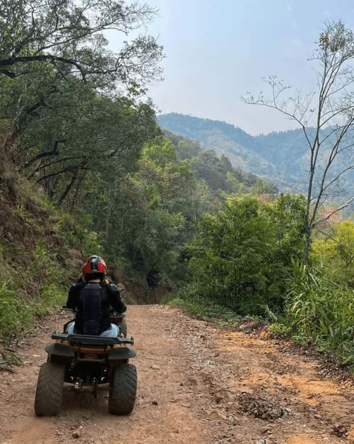 Chiang Mai ATV & White Water Rafting & Trekking to Waterfall - Lunch between water and dirt: Pad Thai that keeps the day moving