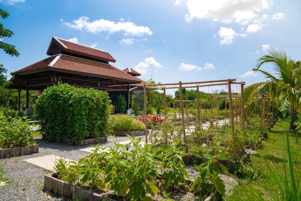 Chiang Mai: Authentic Thai Cooking Class and Farm Visit - The Market Visit That Actually Explains the Flavors