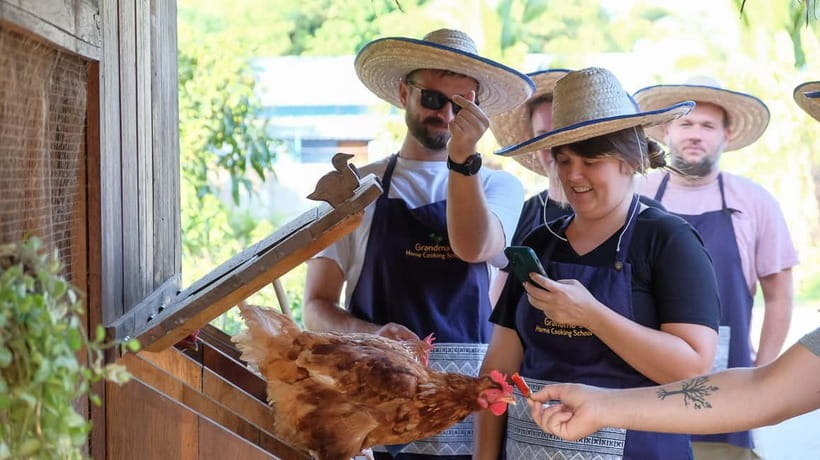 Chiang Mai: Authentic Thai Cooking Class and Farm Visit - Price and Value: What $33 Really Buys You