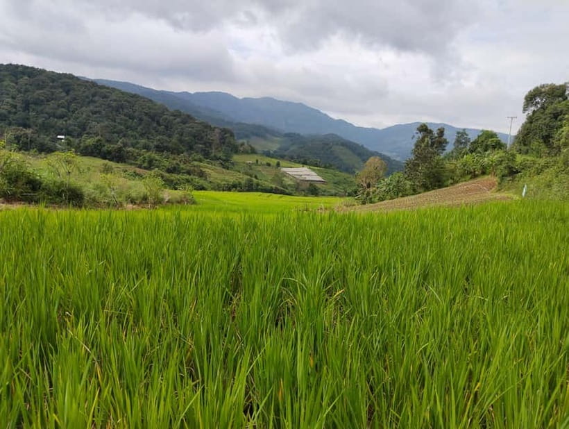 Chiang Mai Authentic Trekking - Key things that make this trek work